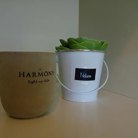 Appartement Harmony Plat *