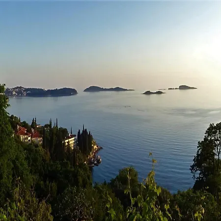 Harmony Plat מליני