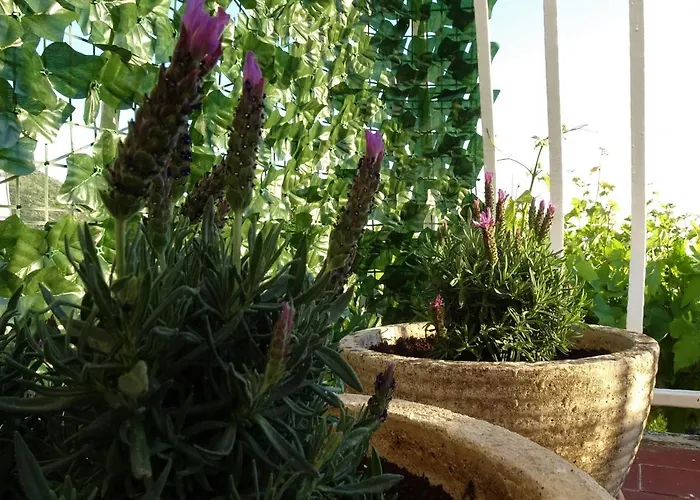 Lägenhet Harmony Plat Mlini