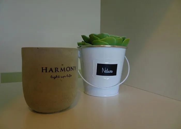 Apartament Harmony Plat *